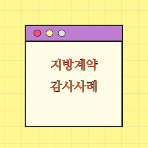 지방계약 실무편람(감사 사례) - 사무행정의 정석